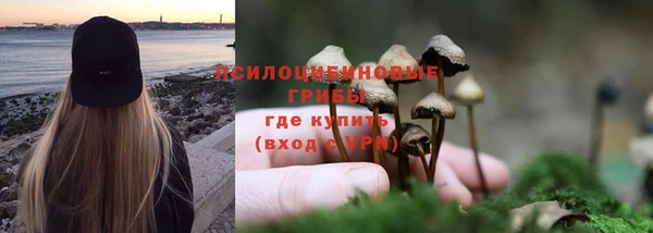 твердый Иннополис
