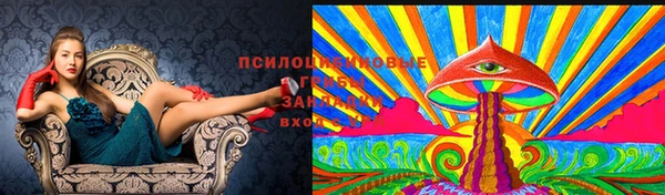 марки nbome Алексеевка